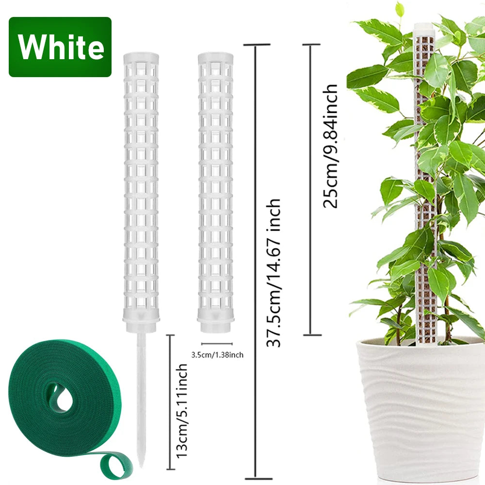 Bastón Soporte Para Plantas Trepadoras.
