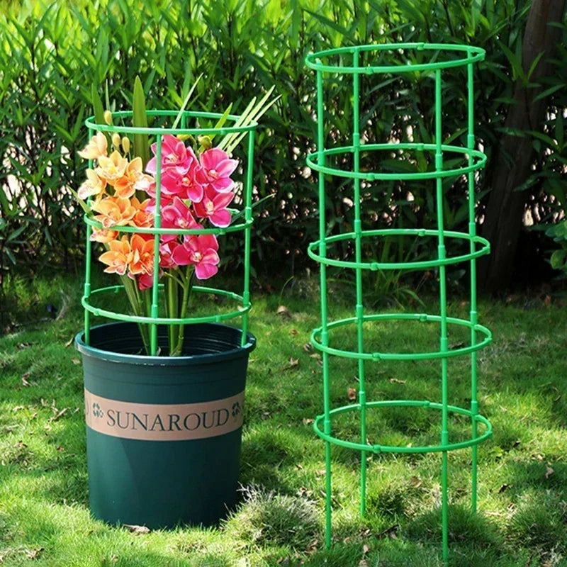 Soporte Para Plantas Trepadoras
