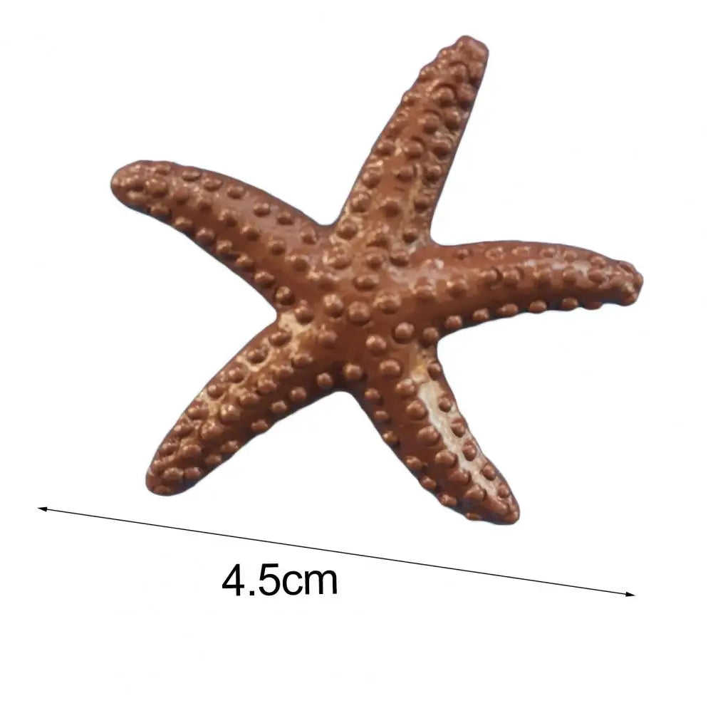 Estrella De Mar Decoración.