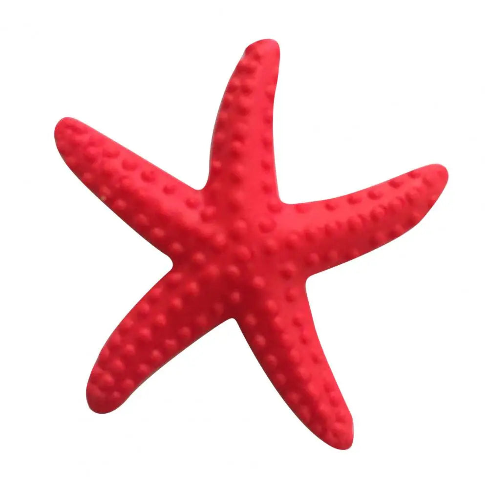 Estrella De Mar Decoración.