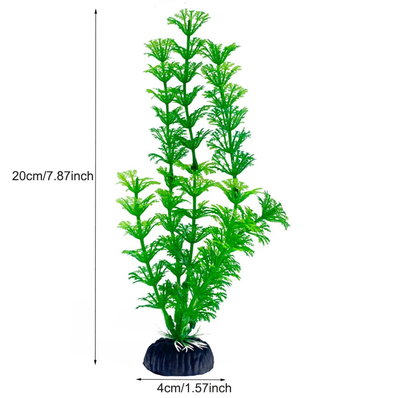 Plantas Acuáticas Para Peceras.