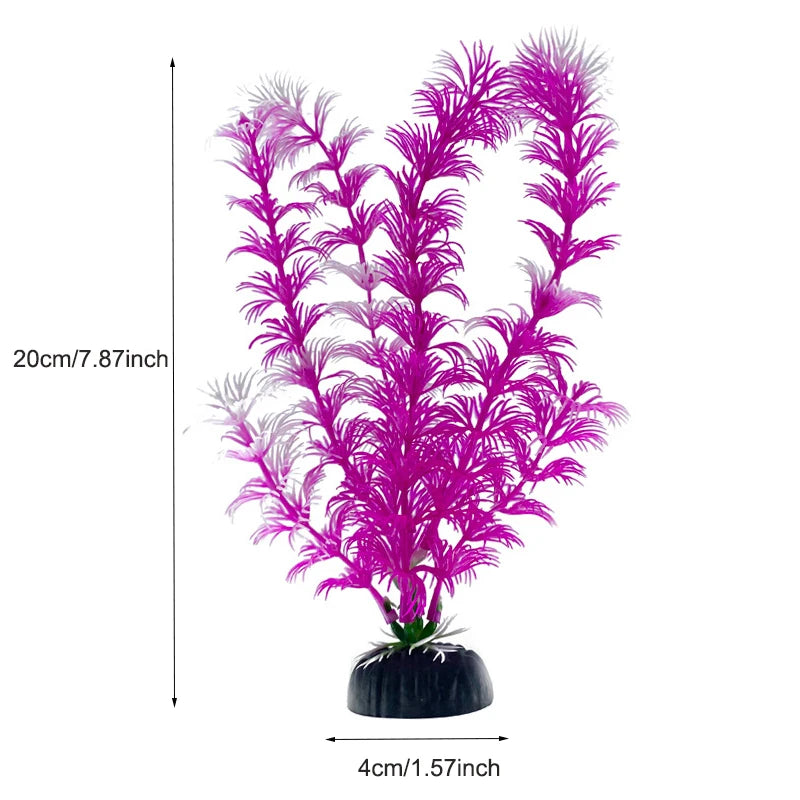 Plantas Acuáticas Para Peceras.