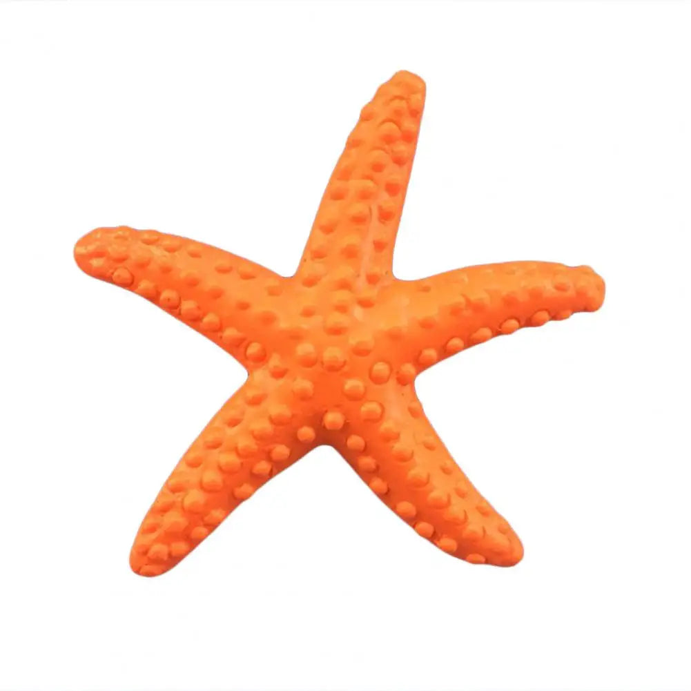 Estrella De Mar Decoración.