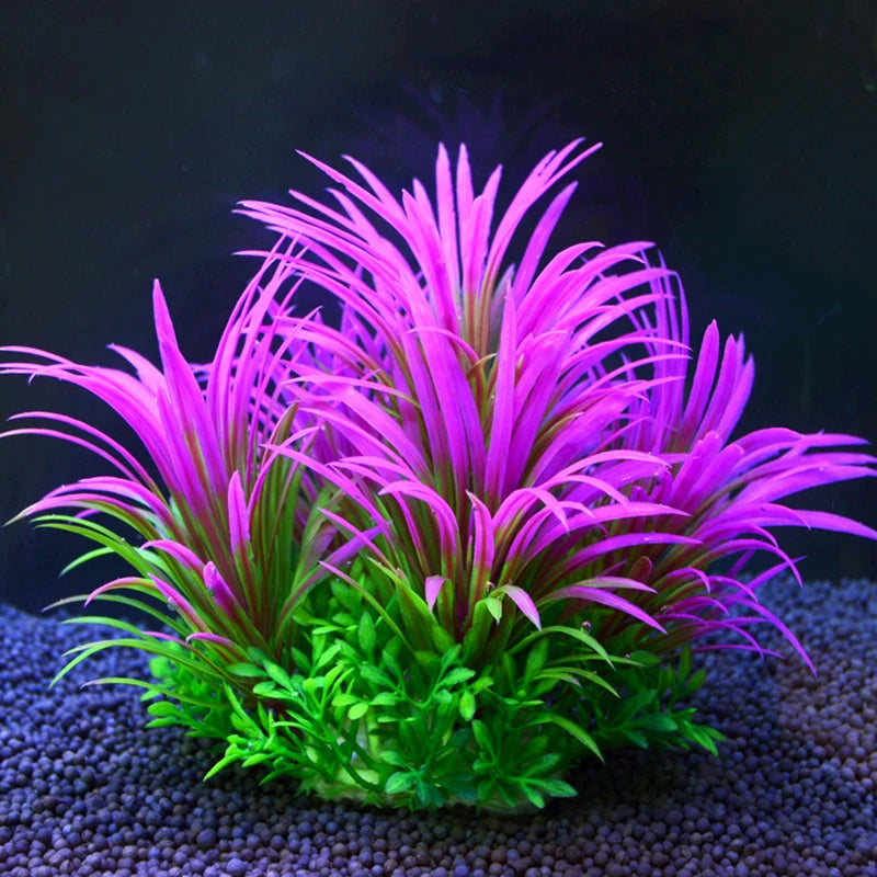 Plantas Acuáticas Para Peceras.