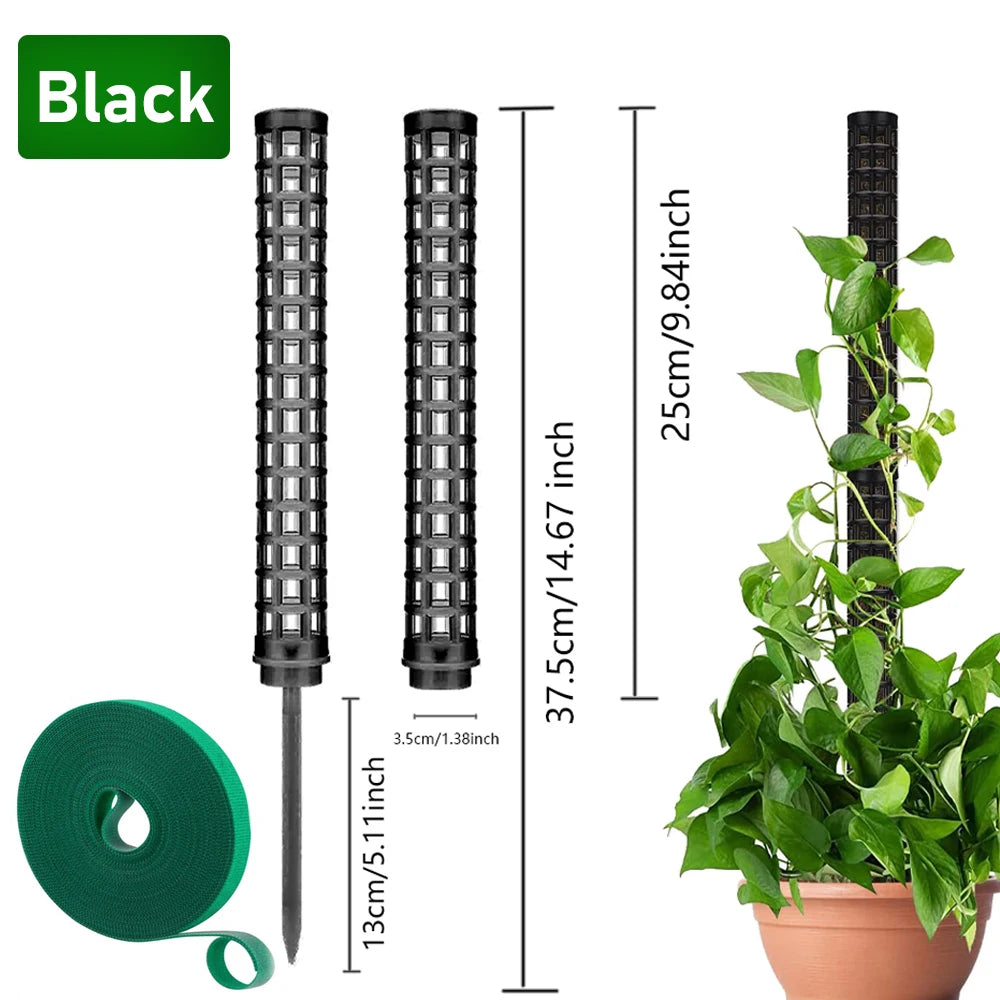 Bastón Soporte Para Plantas Trepadoras.
