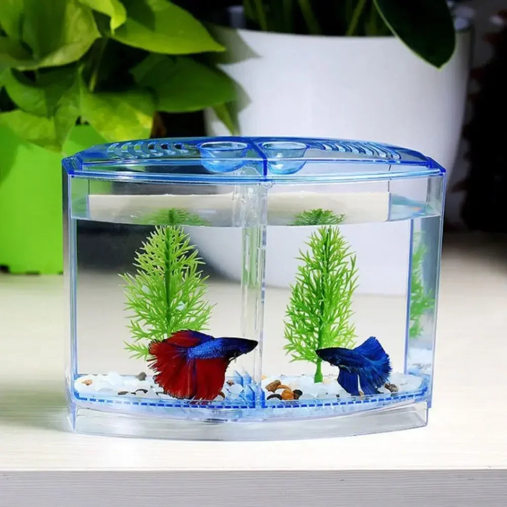 Pecera Para Peces Betta.