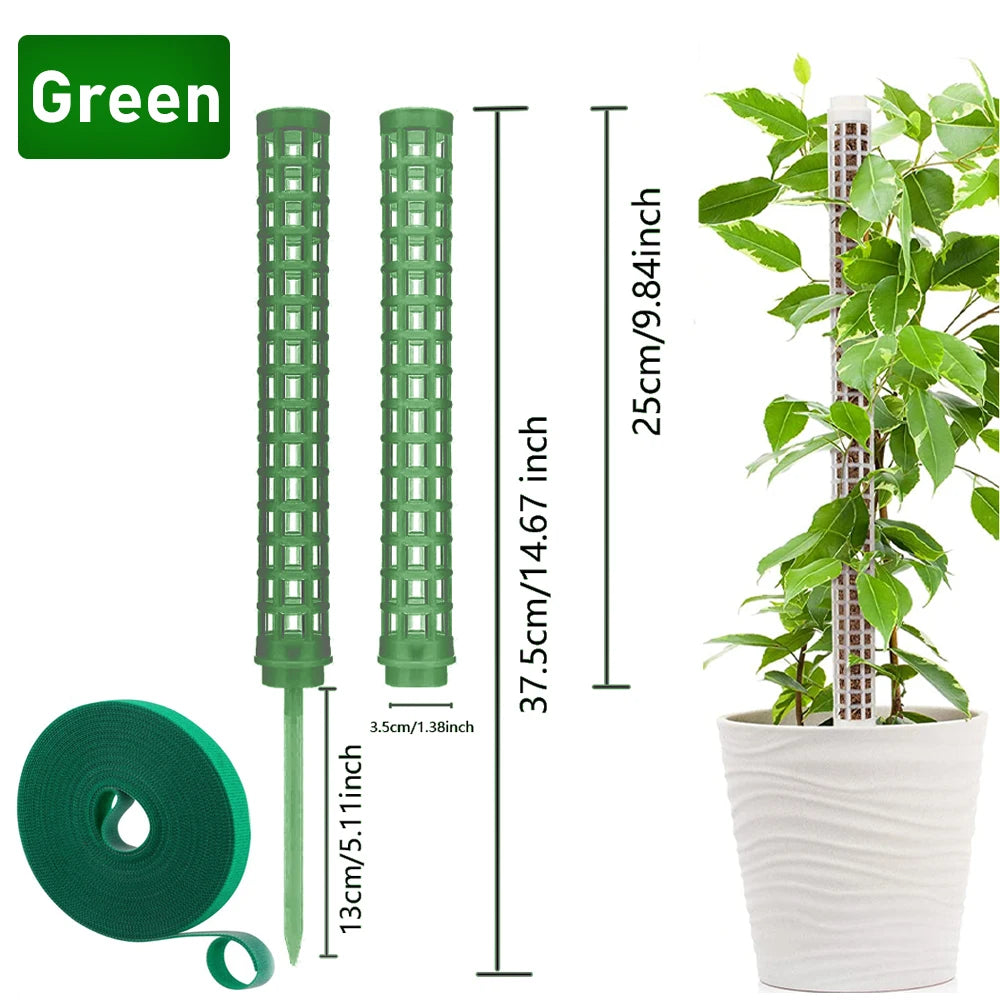 Bastón Soporte Para Plantas Trepadoras.