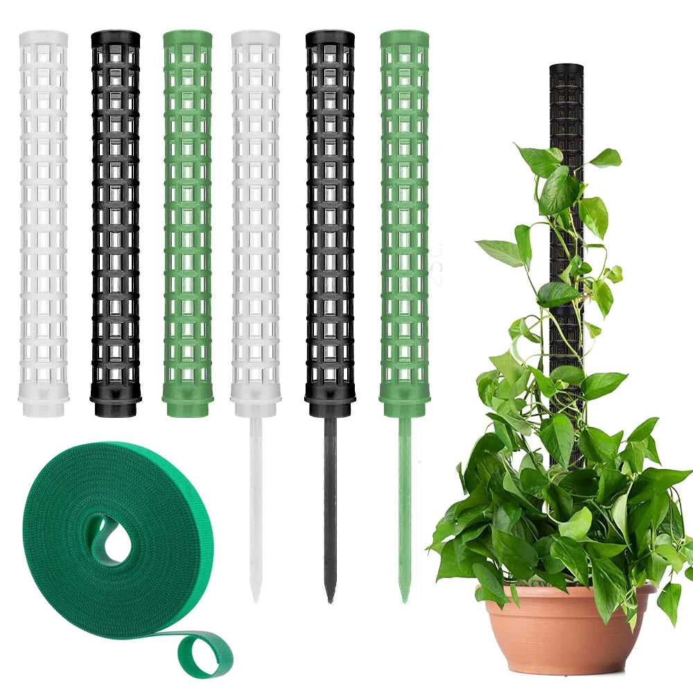 Bastón Soporte Para Plantas Trepadoras.