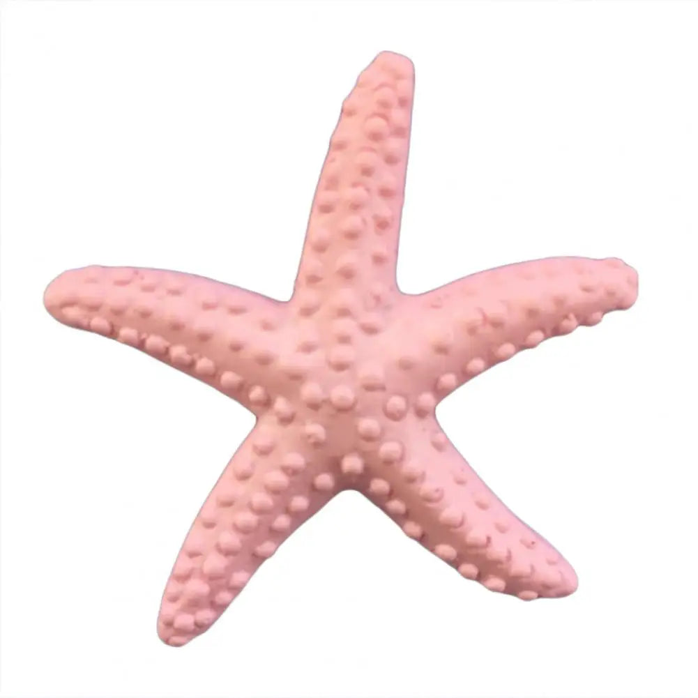 Estrella De Mar Decoración.