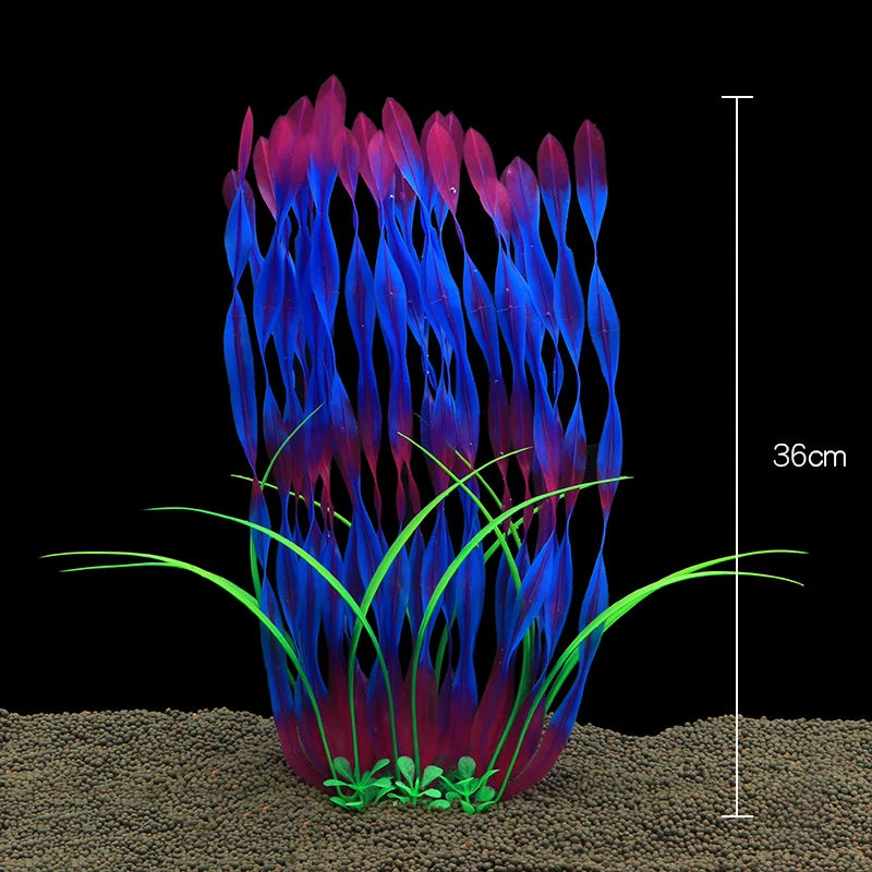 Plantas Acuáticas Para Peceras.