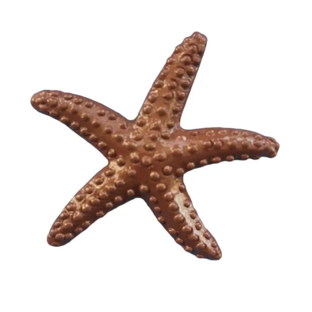 Estrella De Mar Decoración.