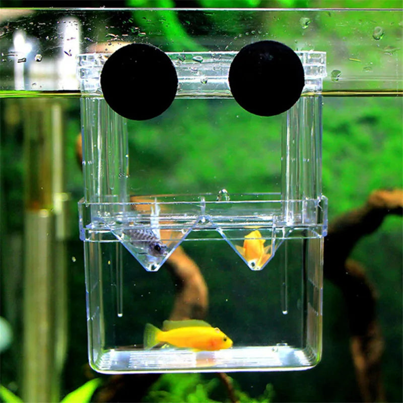 Caja De Cría Para Peces.