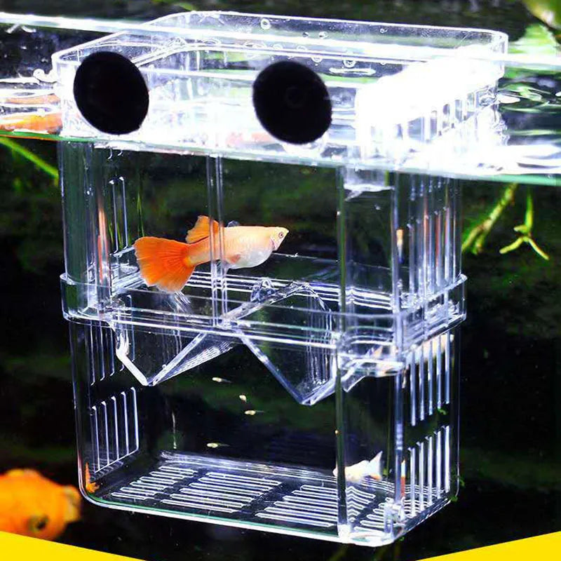Caja De Cría Para Peces.