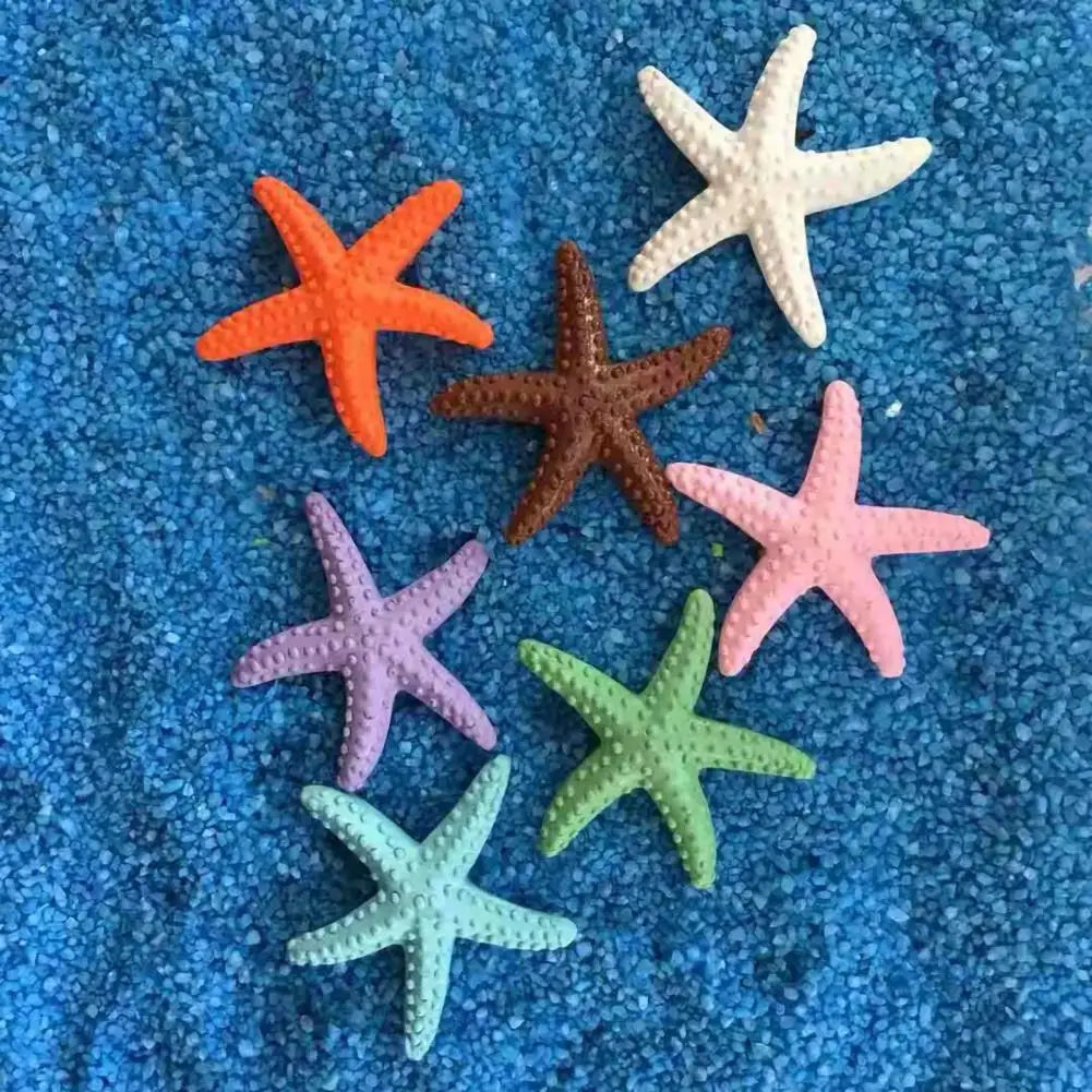 Estrella De Mar Decoración.