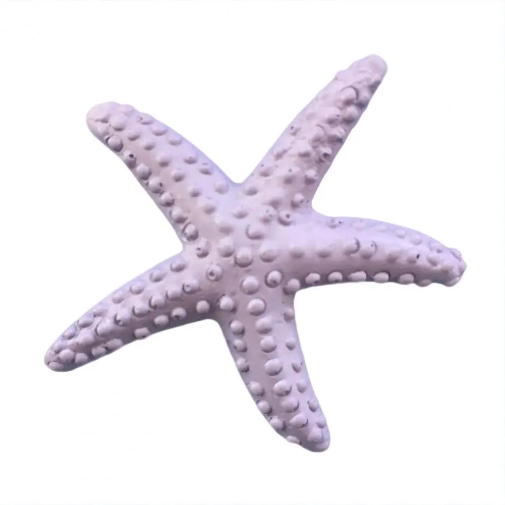 Estrella De Mar Decoración.