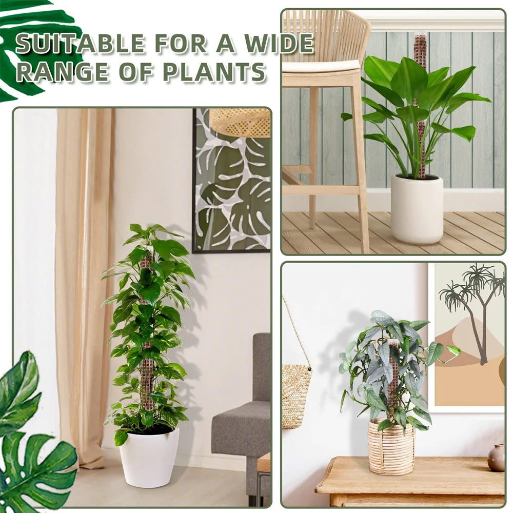 Bastón Soporte Para Plantas Trepadoras.