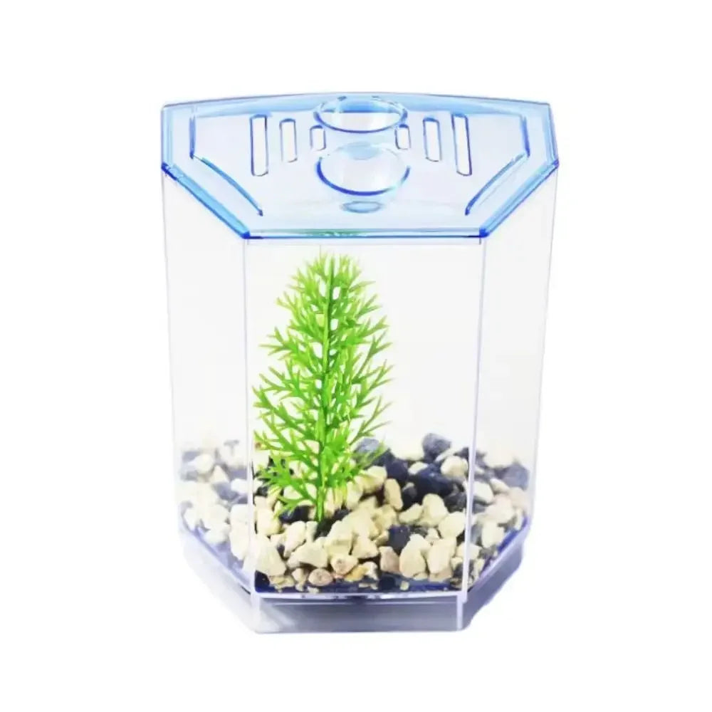 Pecera Para Peces Betta.