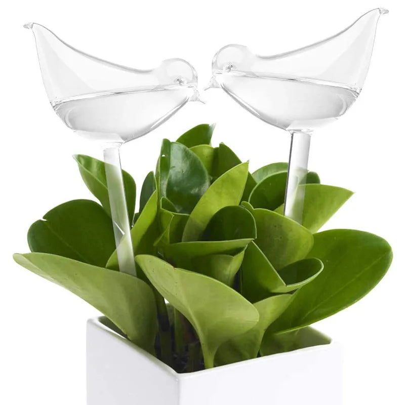 Riego Para Plantas En Forma De Pájaro.