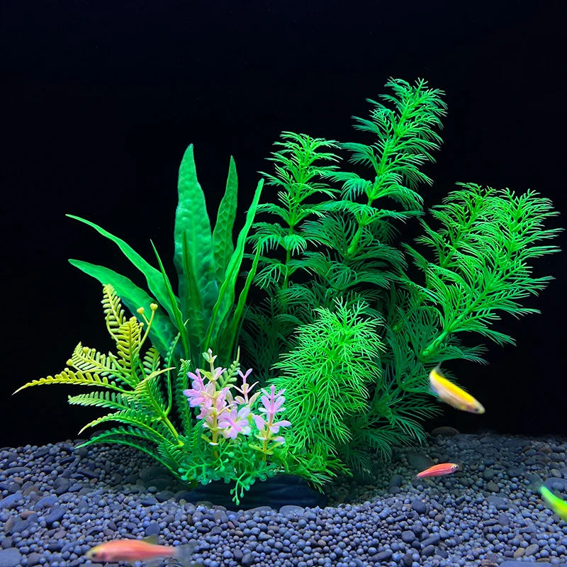 Plantas Acuáticas Para Peceras.