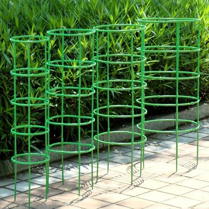 Soporte Para Plantas Trepadoras