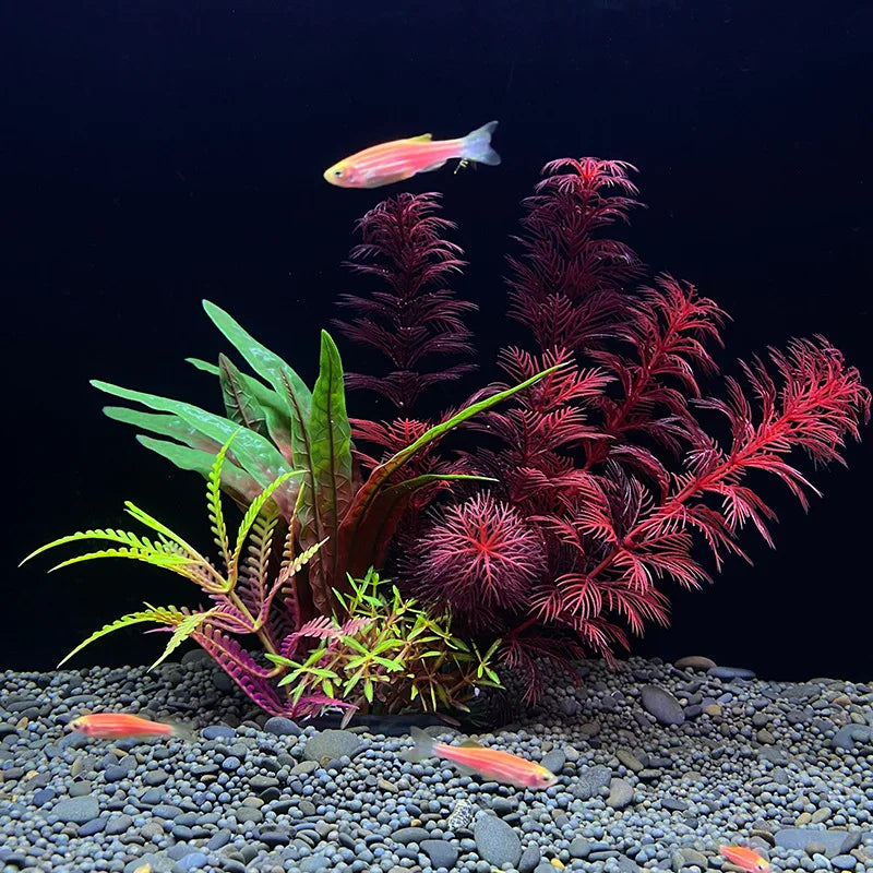 Plantas Acuáticas Para Peceras.
