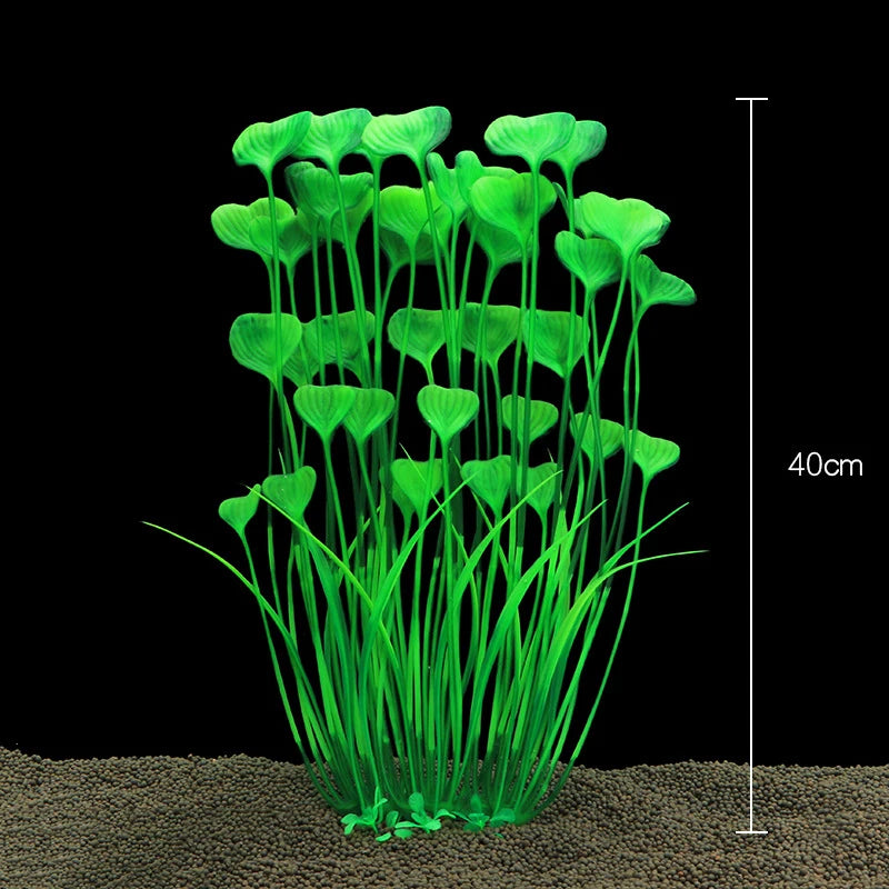 Plantas Acuáticas Para Peceras.