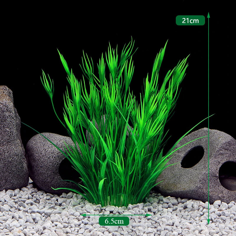 Plantas Acuáticas Para Peceras.
