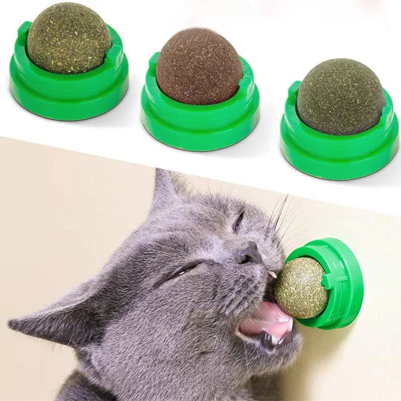Rascador Para Gatos.
