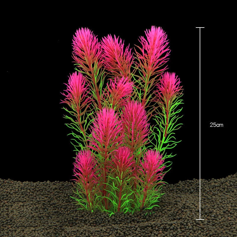 Plantas Acuáticas Para Peceras.