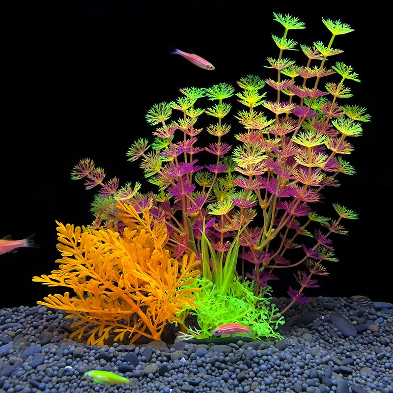 Plantas Acuáticas Para Peceras.