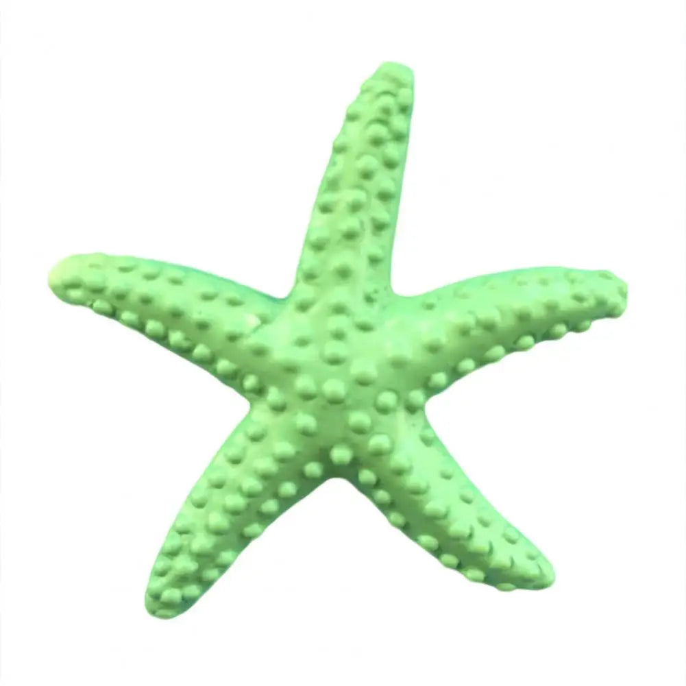 Estrella De Mar Decoración.