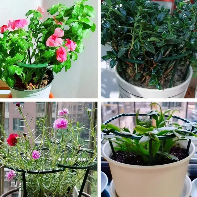 Soporte Para Plantas Semi Circular.