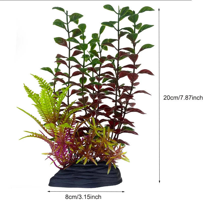 Plantas Acuáticas Para Peceras.