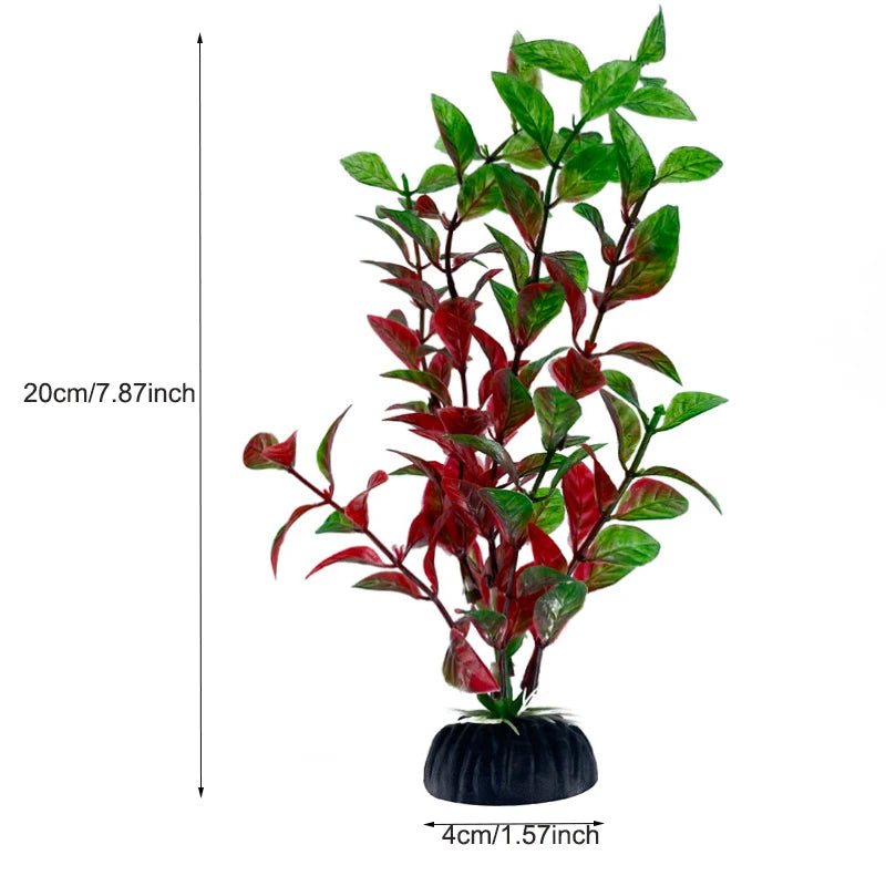 Plantas Acuáticas Para Peceras.