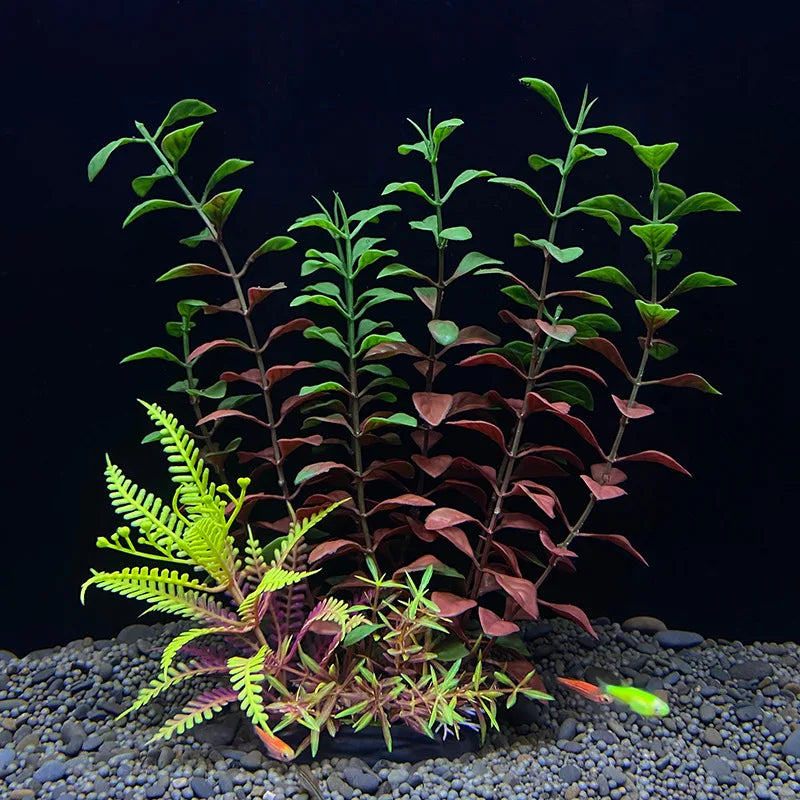 Plantas Acuáticas Para Peceras.