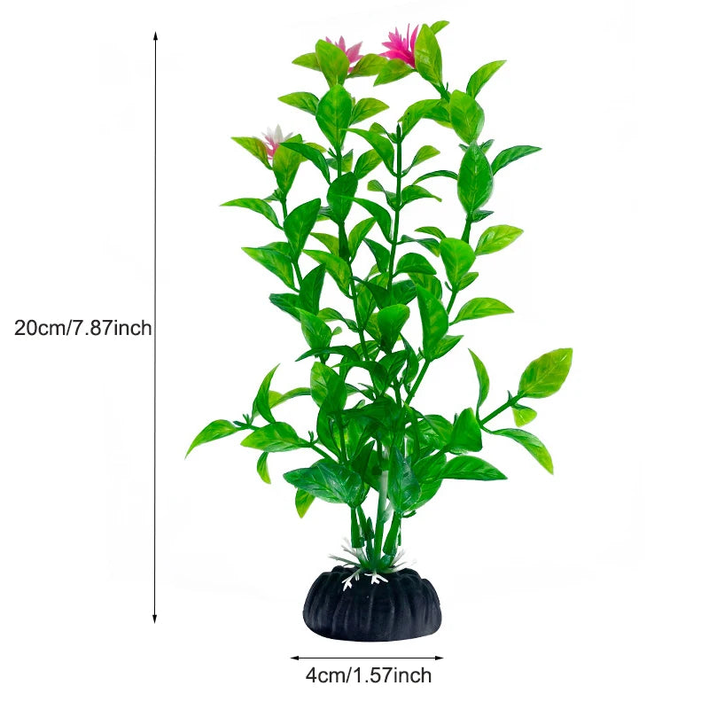 Plantas Acuáticas Para Peceras.