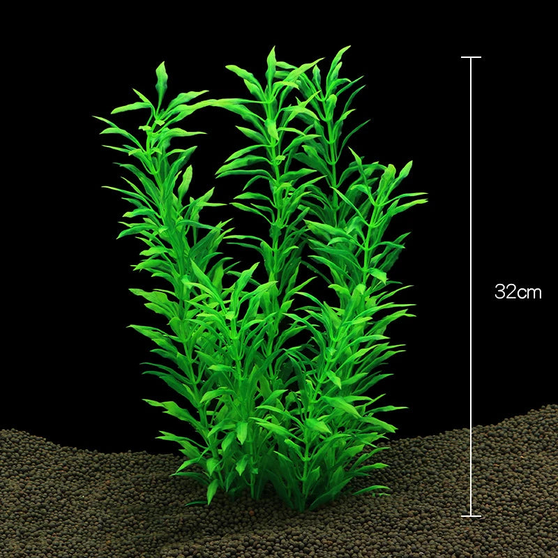 Plantas Acuáticas Para Peceras.