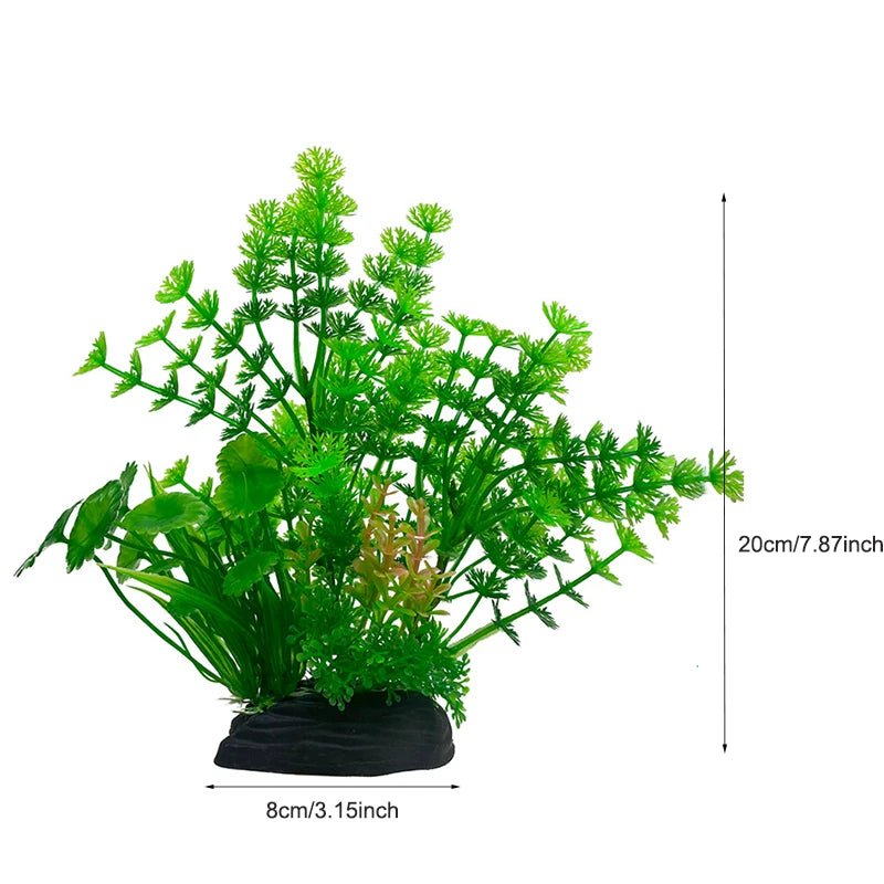 Plantas Acuáticas Para Peceras.