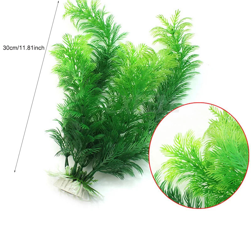 Plantas Acuáticas Para Peceras.