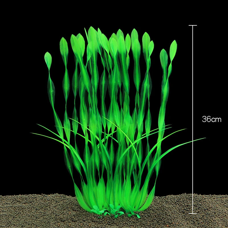 Plantas Acuáticas Para Peceras.