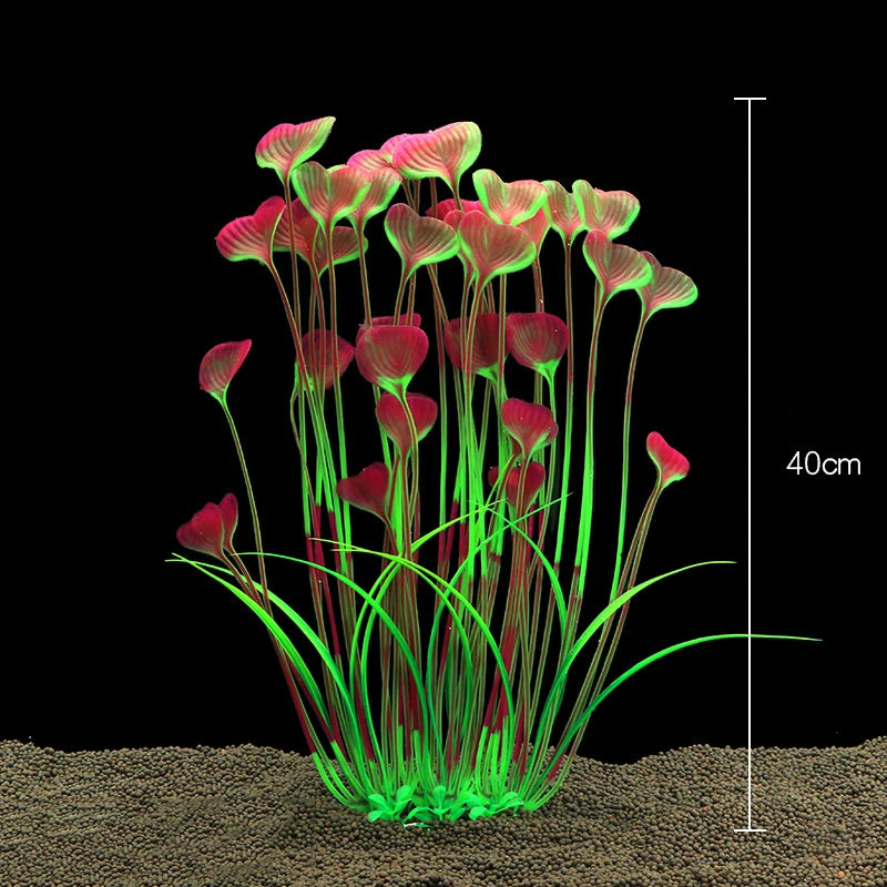 Plantas Acuáticas Para Peceras.