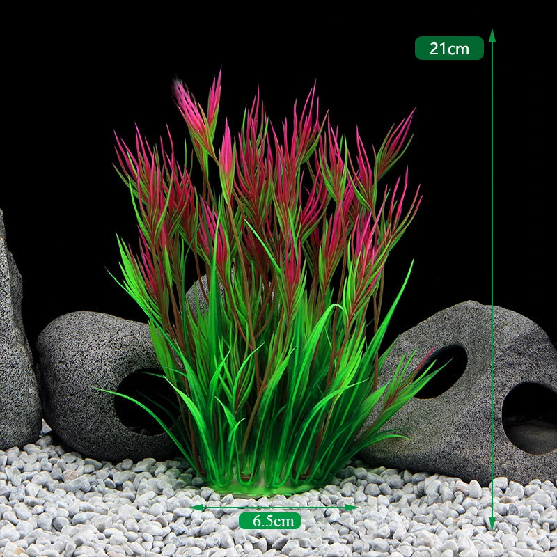 Plantas Acuáticas Para Peceras.