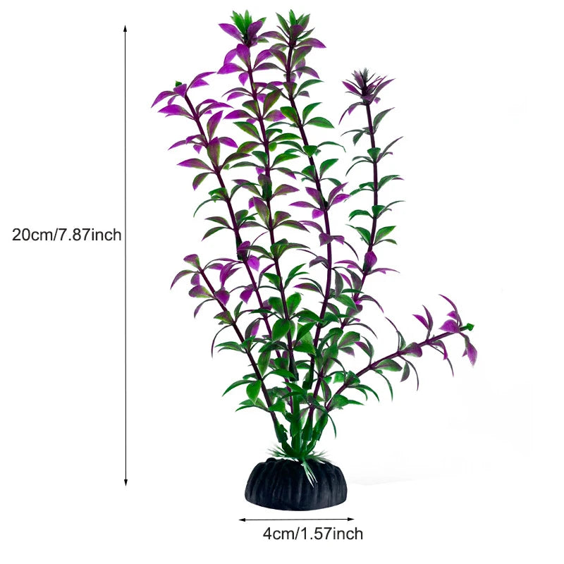 Plantas Acuáticas Para Peceras.