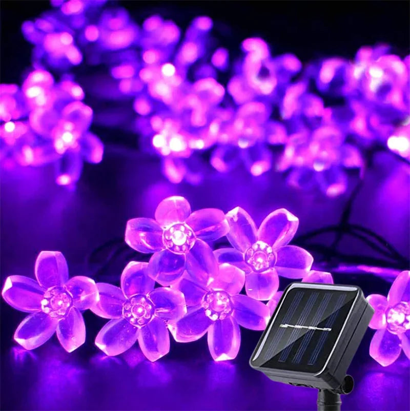 Luces Solares LED.