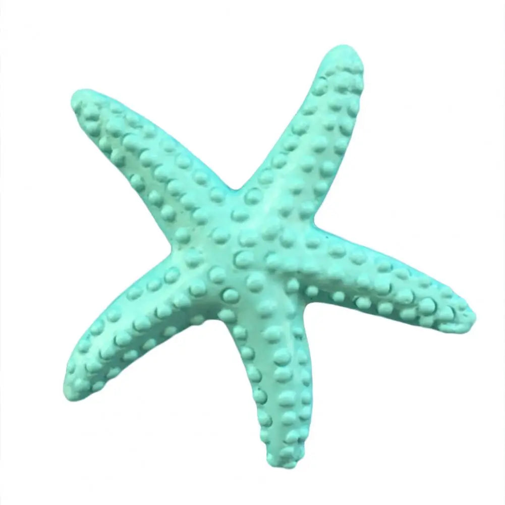 Estrella De Mar Decoración.