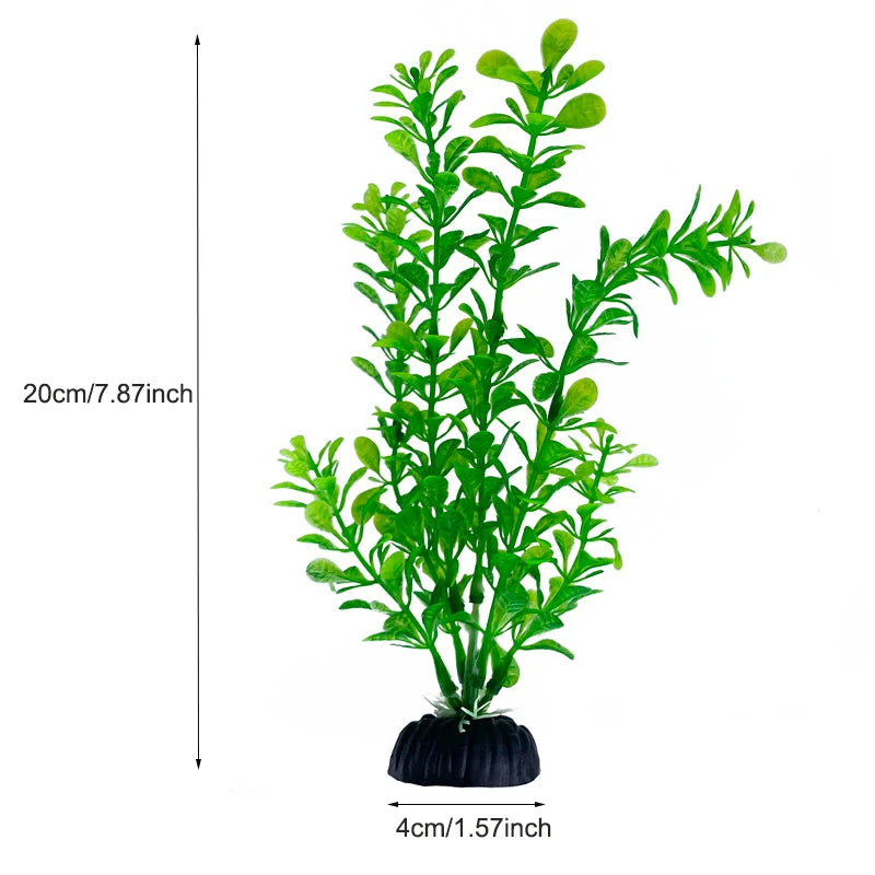 Plantas Acuáticas Para Peceras.