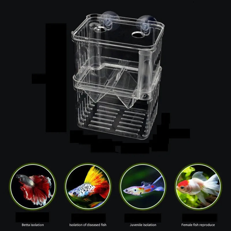 Caja De Cría Para Peces.