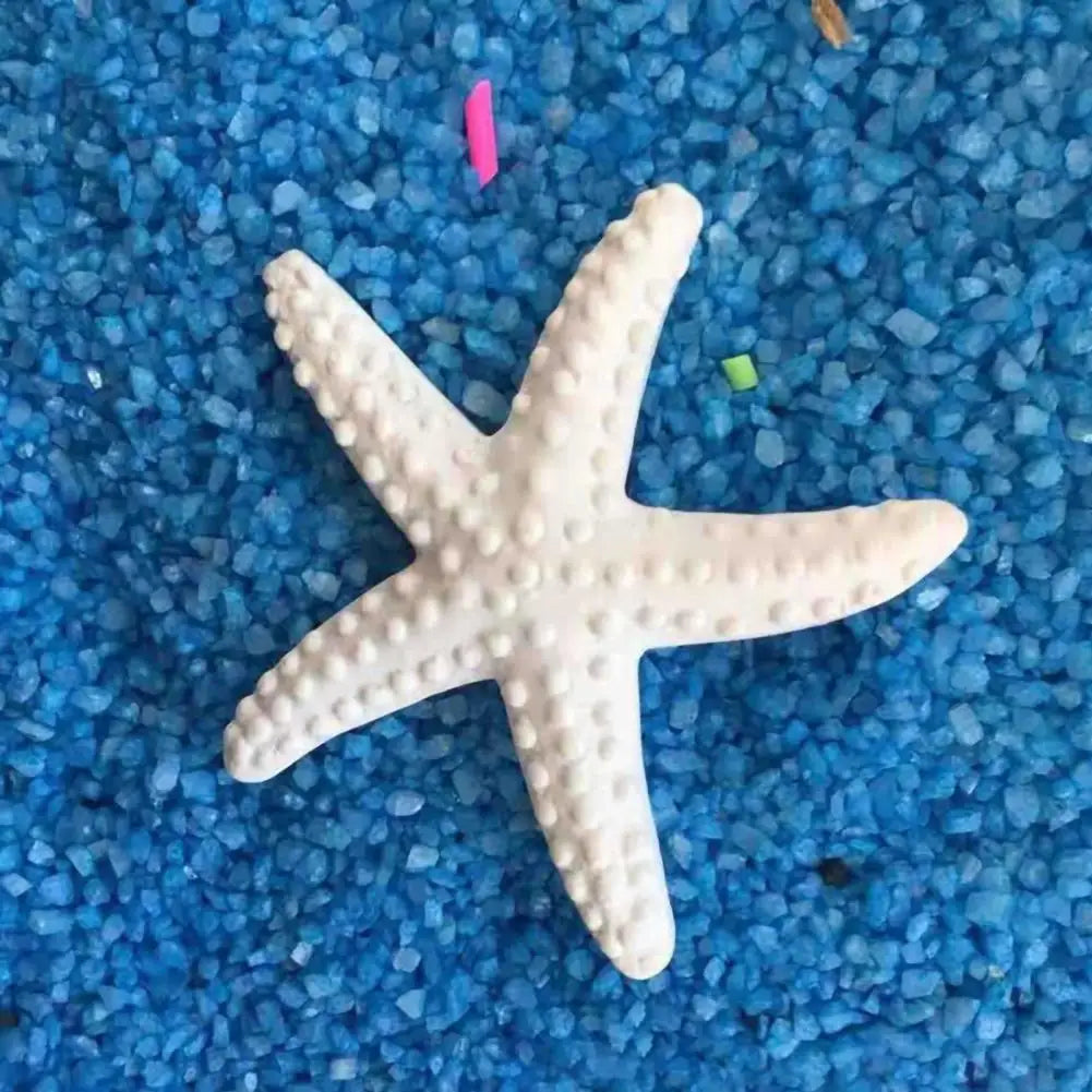 Estrella De Mar Decoración.
