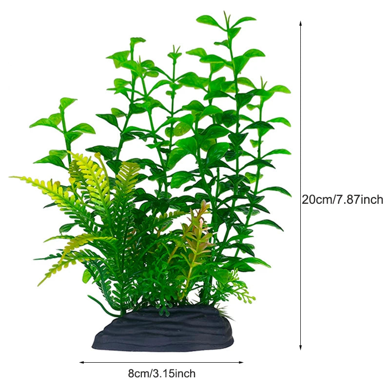 Plantas Acuáticas Para Peceras.