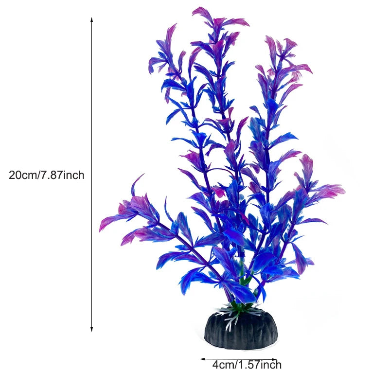Plantas Acuáticas Para Peceras.